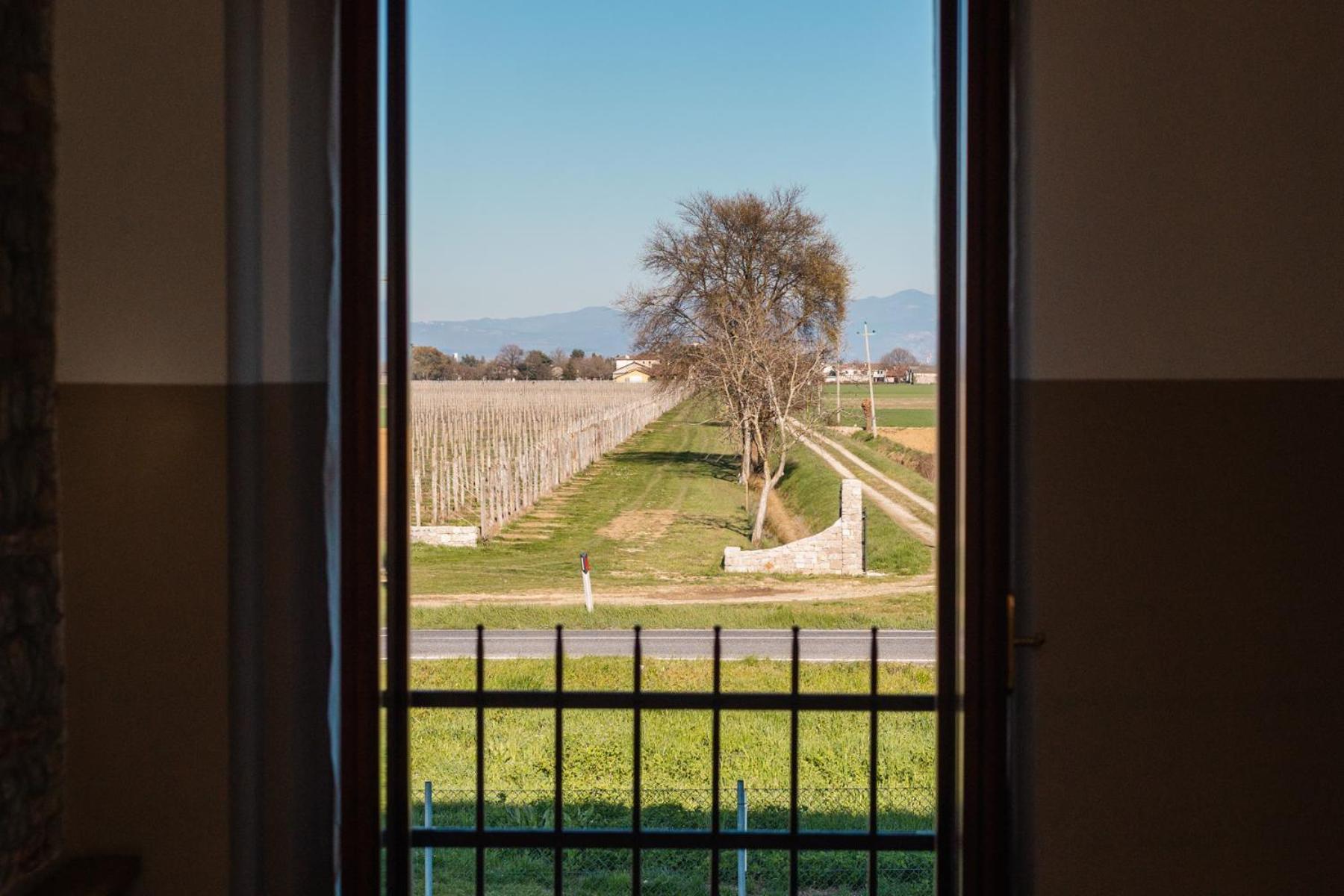 Agriturismo Mulino Delle Tolle Bagnario Arsa 외부 사진