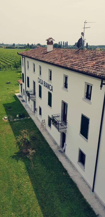 Agriturismo Mulino Delle Tolle Bagnario Arsa 외부 사진
