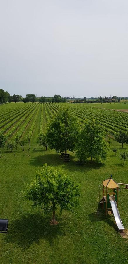 Agriturismo Mulino Delle Tolle Bagnario Arsa 외부 사진